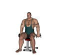 Upright Row - Seated Dumbbell